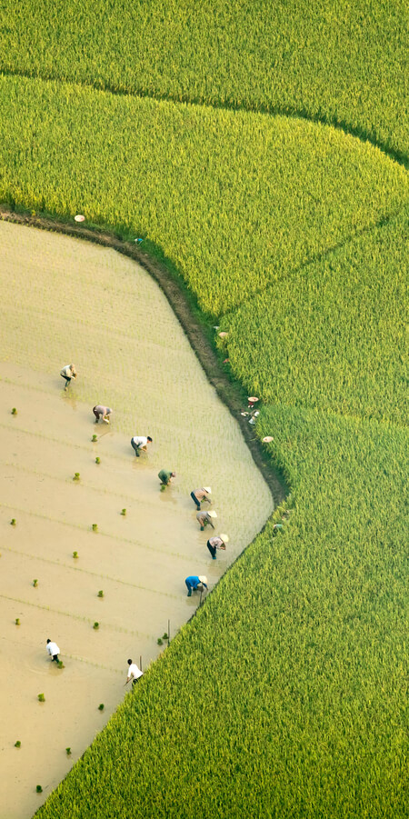 Chất lượng vượt trội, lợi nhuận bền vững, bảo vệ tương lai xanh!