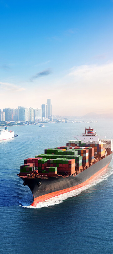 Import & Export Services
